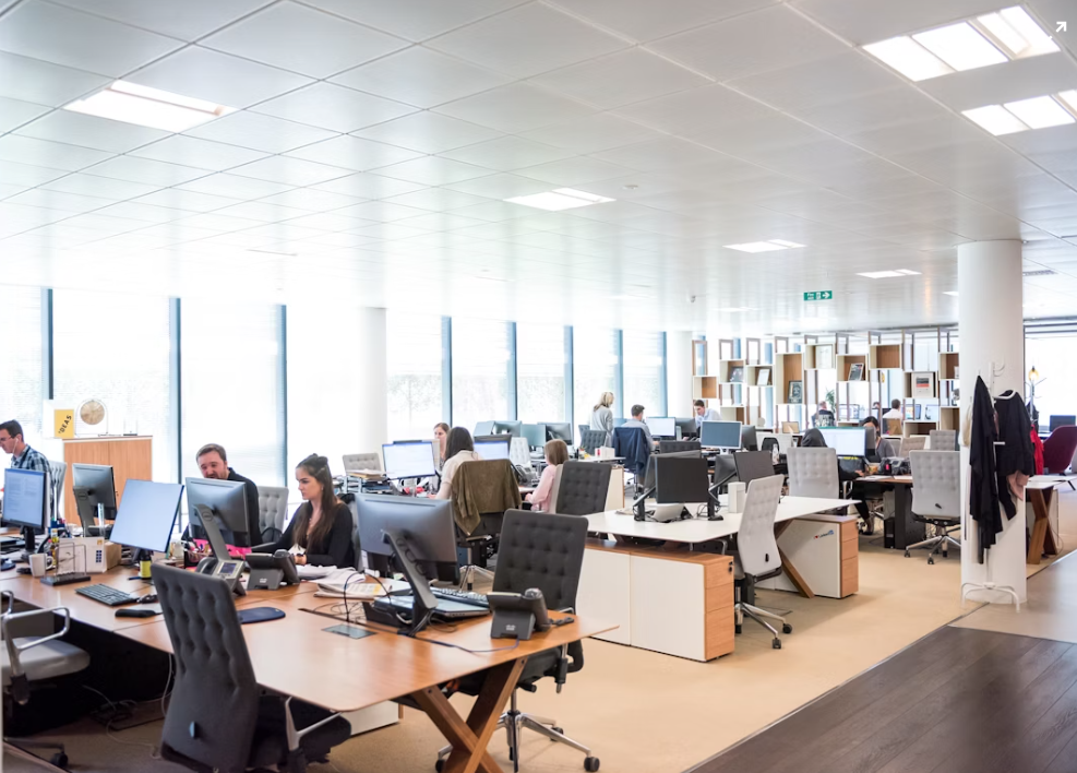 The Great Human Hunt: A 2025 Customer Service Story